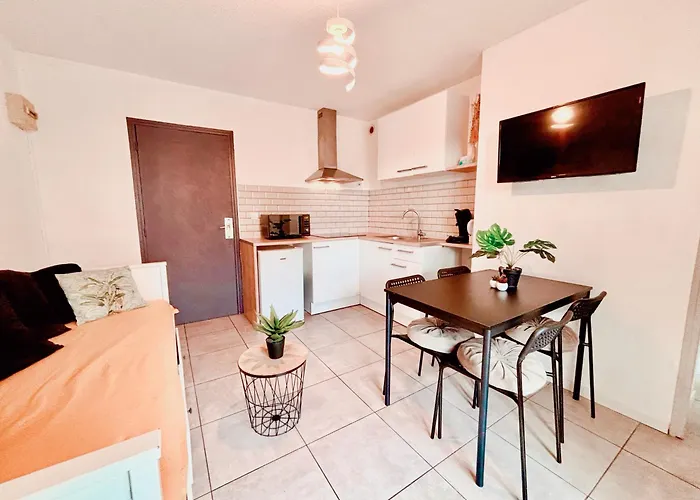 Appartement Calme Avec Jardin Privatif - 3 -